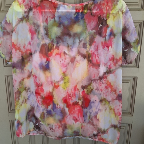 Liz Claiborne Petite Blouse SzPM Pastel Short Sleeves Sheer/Camisole Pretty - Picture 4 of 10